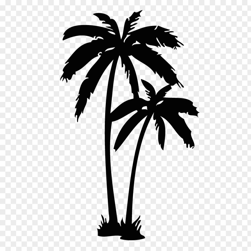 Design Arecaceae Tattoo Wall Decal PNG