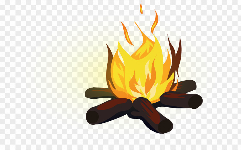 Field Survival Fire Bonfire PNG