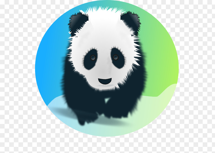 Giant Panda The Red Clip Art PNG