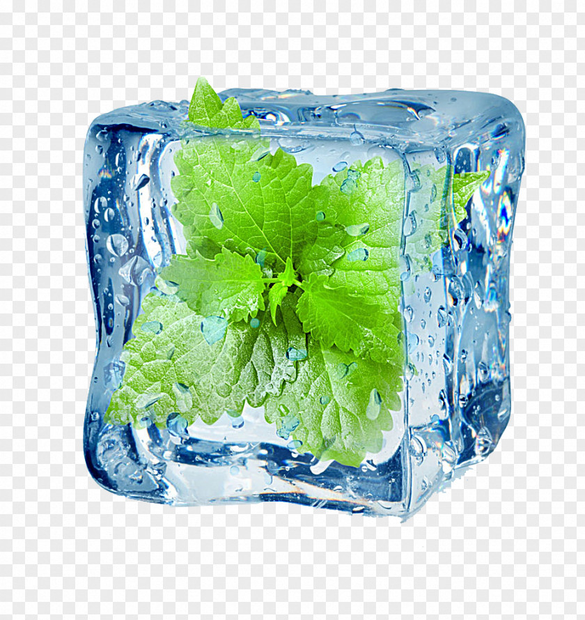 Iced Mint Leaves Menthol Peppermint Flavor Electronic Cigarette Aerosol And Liquid PNG