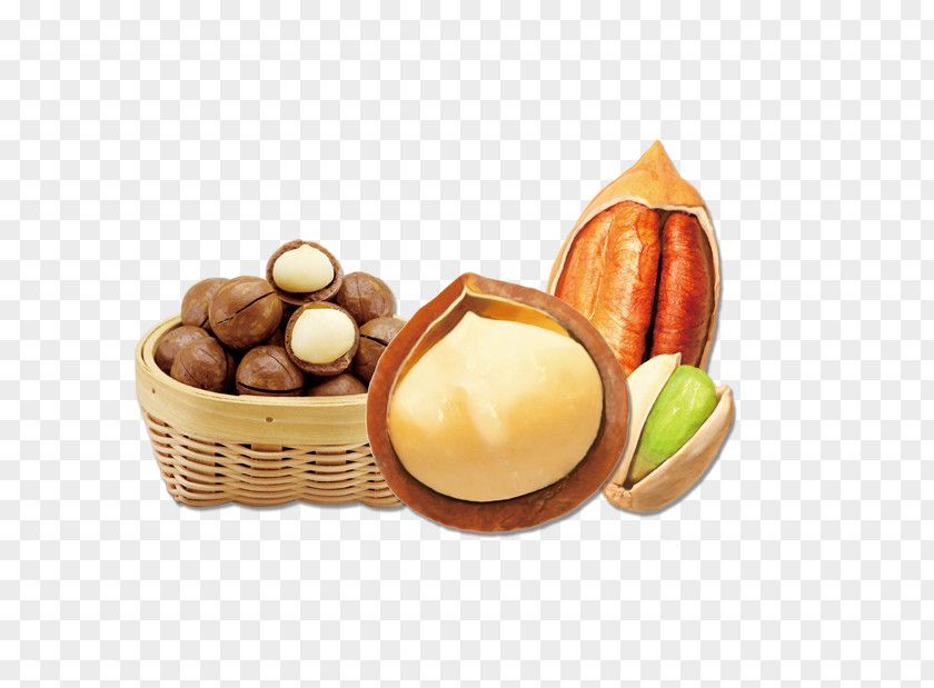 Macadamia Pistachios Ginkgo Nut Pistachio Biloba Ingredient PNG