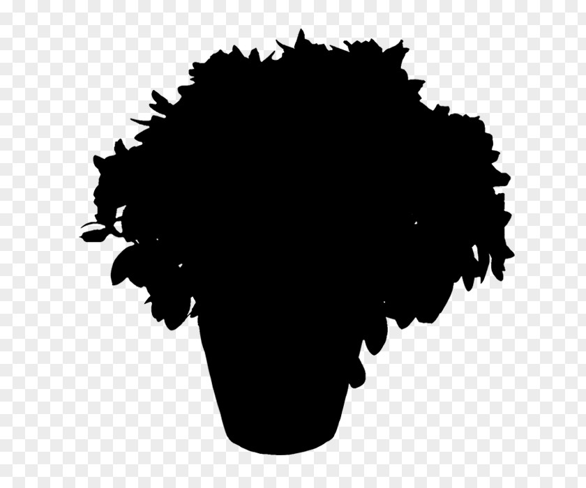 Silhouette Hair Cosmetics Afro Vector Graphics PNG