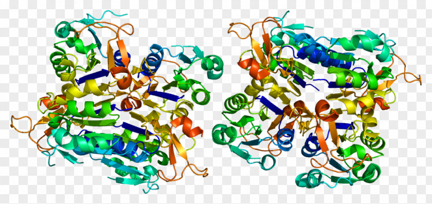 Thymidine Kinase 1 Protein GNAT1 PNG
