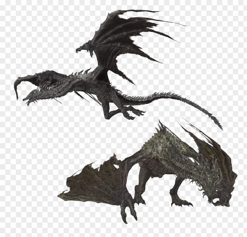 Wyvern Dragons Dragon Smaug Dark Souls The Elder Scrolls V: Skyrim PNG