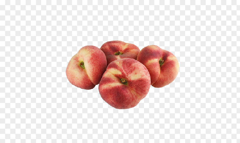 1 Plat Of Rice Saturn Peach Stock Photography Royalty-free PNG