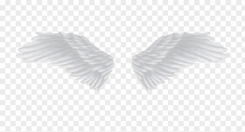 Angle White PNG