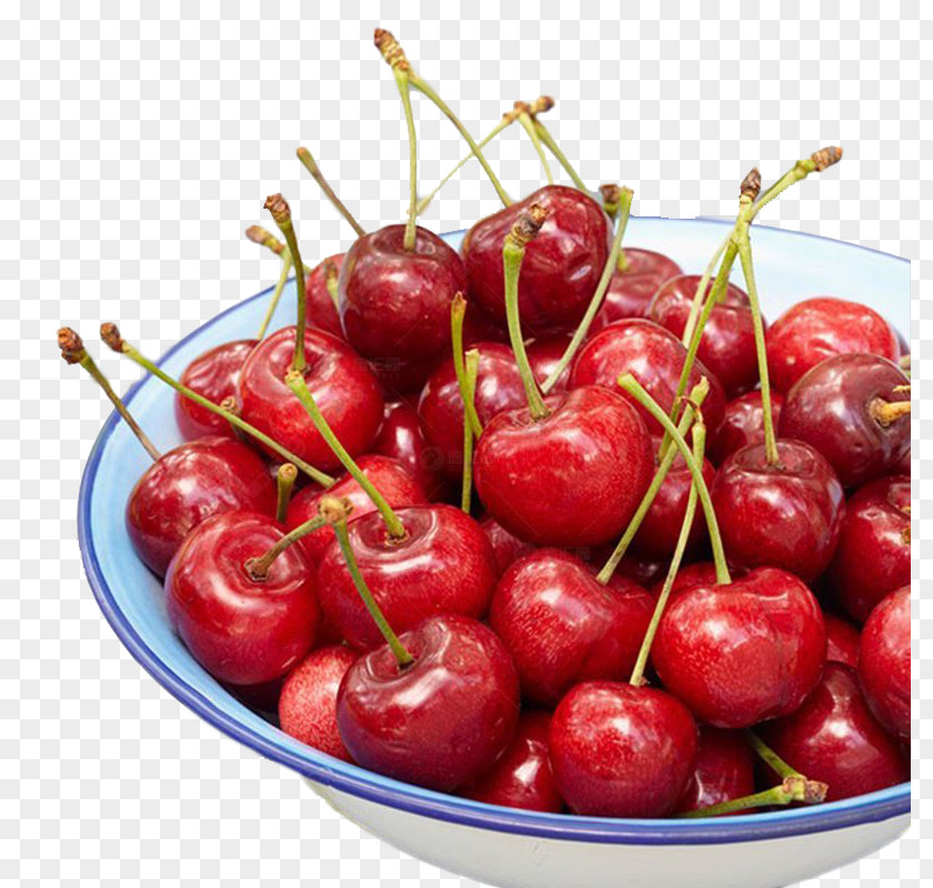 Cherry Red Fruit PNG