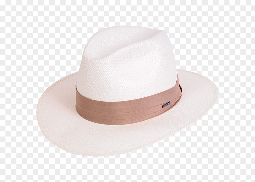 Hat Fedora Panama Czapka Man PNG