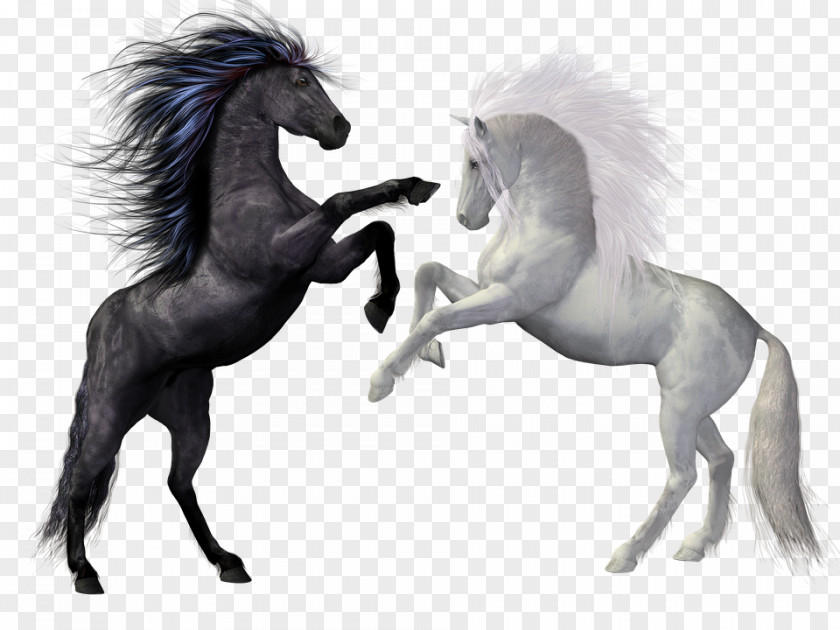 Horses Ornament Friesian Horse Foal Pony Stallion Mare PNG