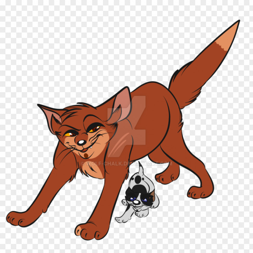 Kitten Whiskers Red Fox Cat PNG