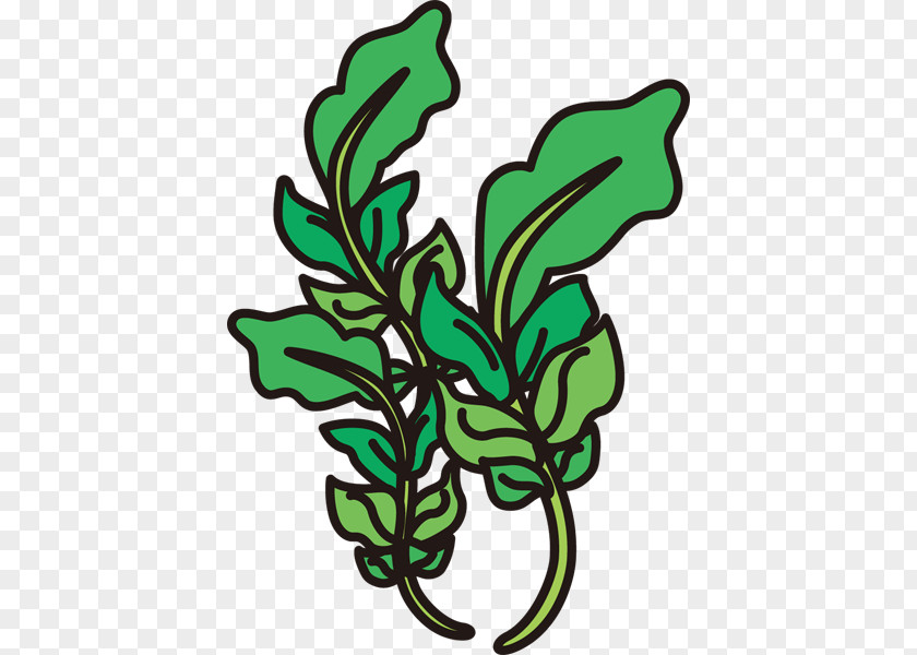 Leaf Clip Art Greens Flower Plant Stem PNG