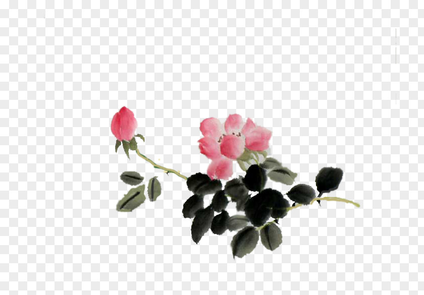 Rose Petal Family PNG