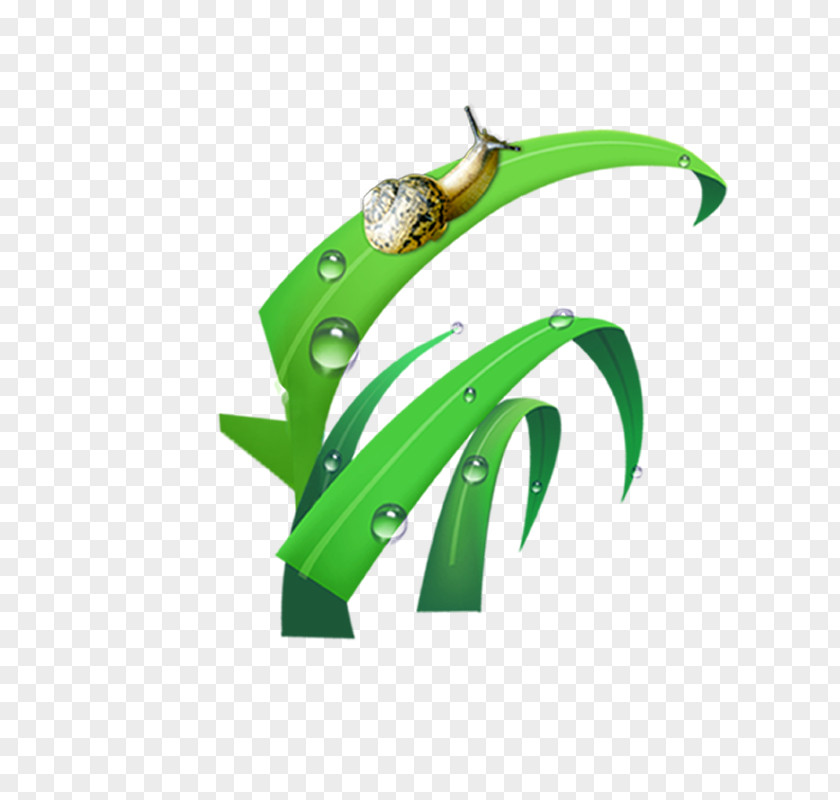 Snails Drawing Icon PNG