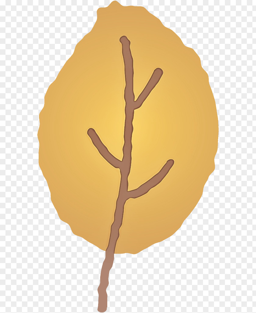 Tree Hand Plant Gesture Branch PNG