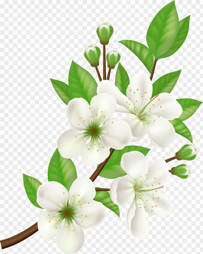 Vector Hand Painted White Flowers Royalty-free Flower PNG