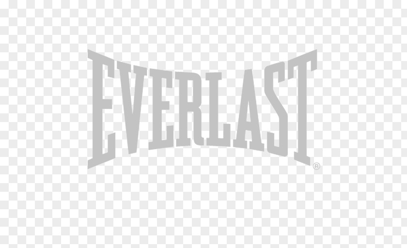 Boxing AMV Enterprises, LLC. Business Sport Everlast PNG