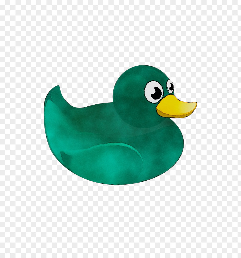 Duck Teal Beak PNG