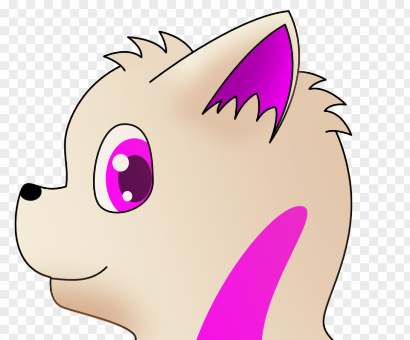 Horse Snout Cat Cheek Dog PNG