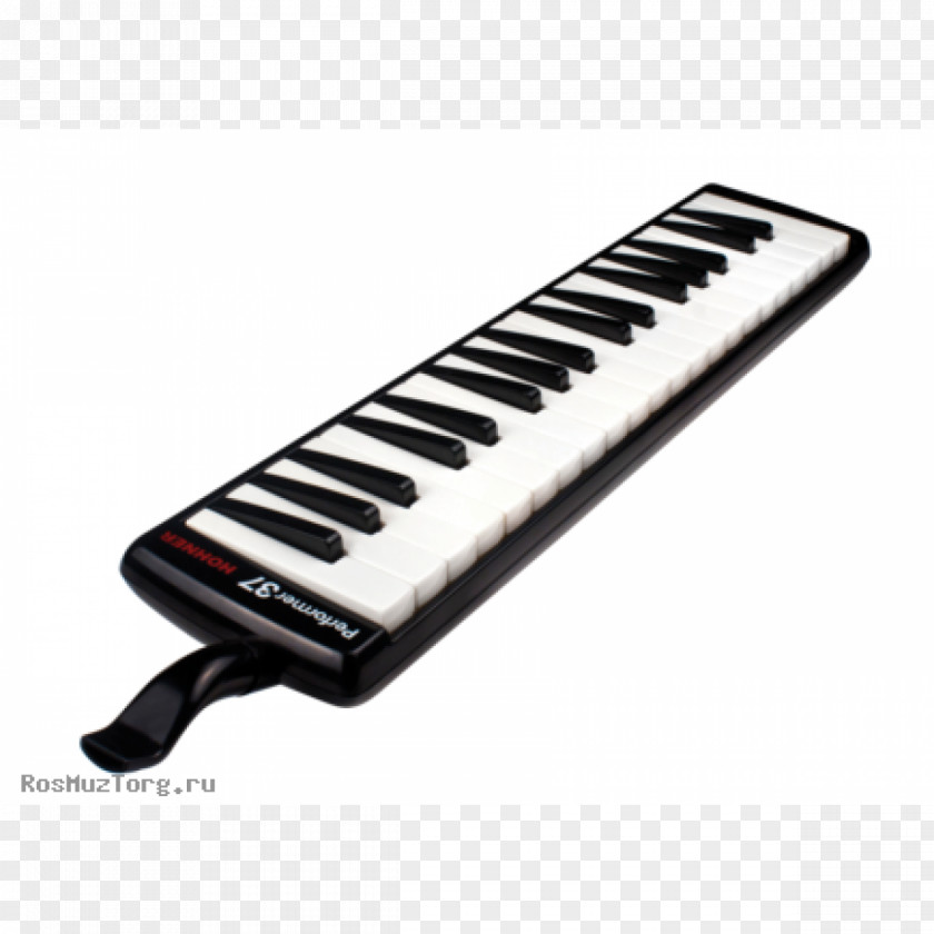 Musical Instruments Melodica Hohner Harmonica Accordion PNG