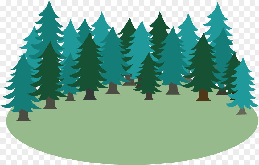 Christmas Tree Spruce Fir Ornament Pine PNG