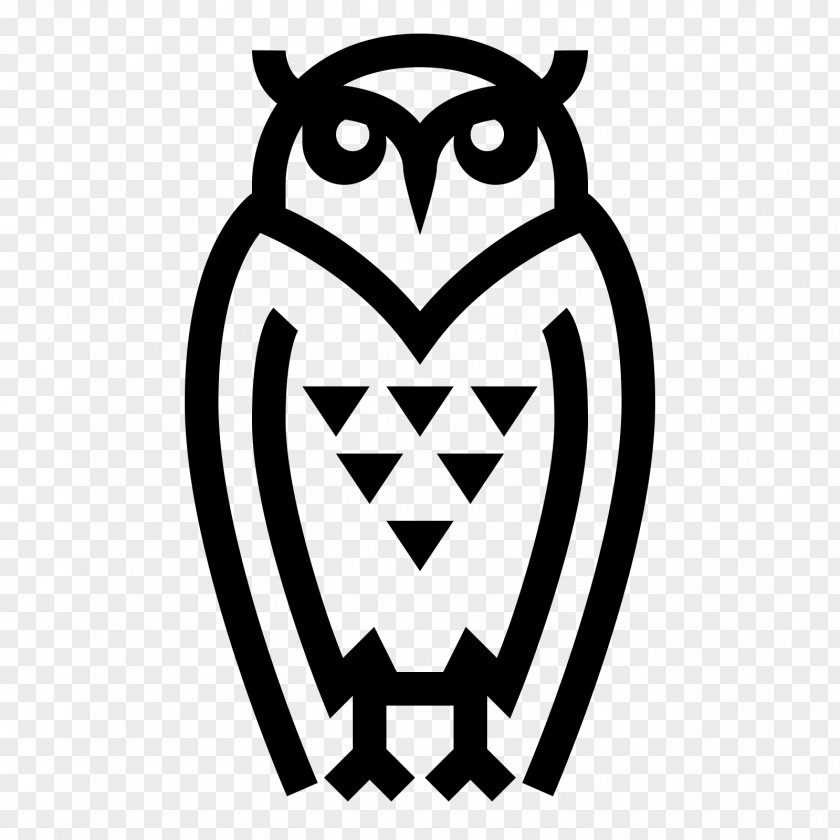 Flying Owl Download PNG