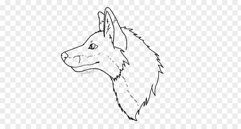 Fox Drawing Line Art Sketch PNG