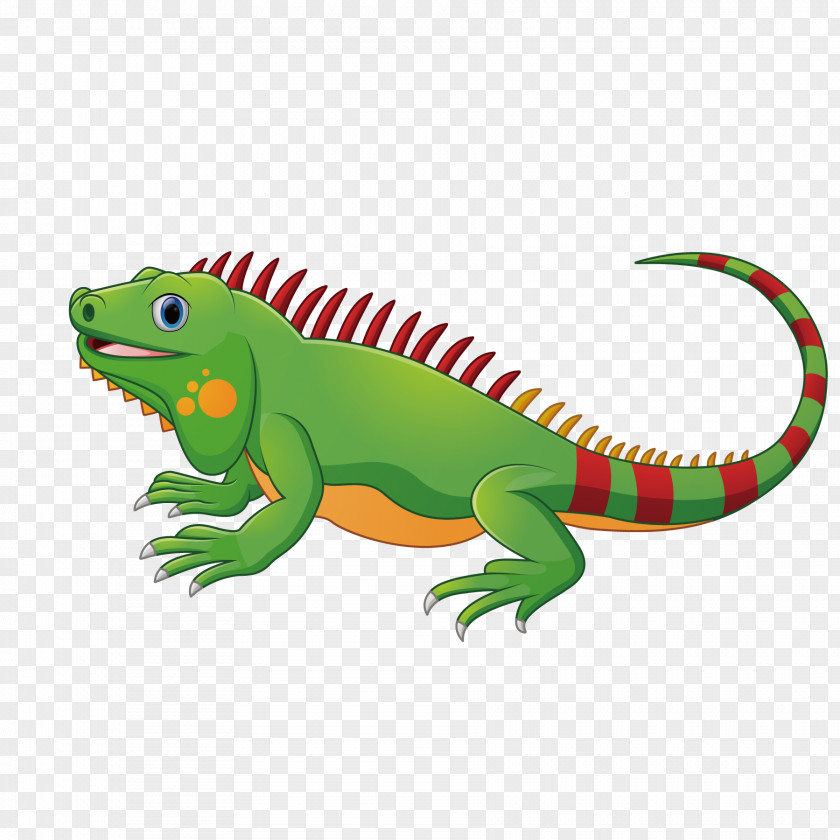 Green Lizard Chameleons Iguana Reptile PNG