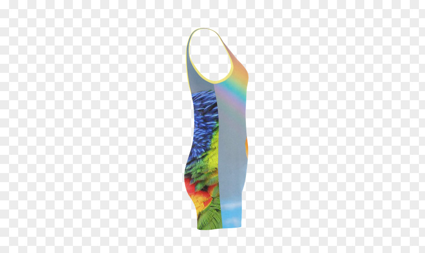 Lories And Lorikeets Swimsuit PNG