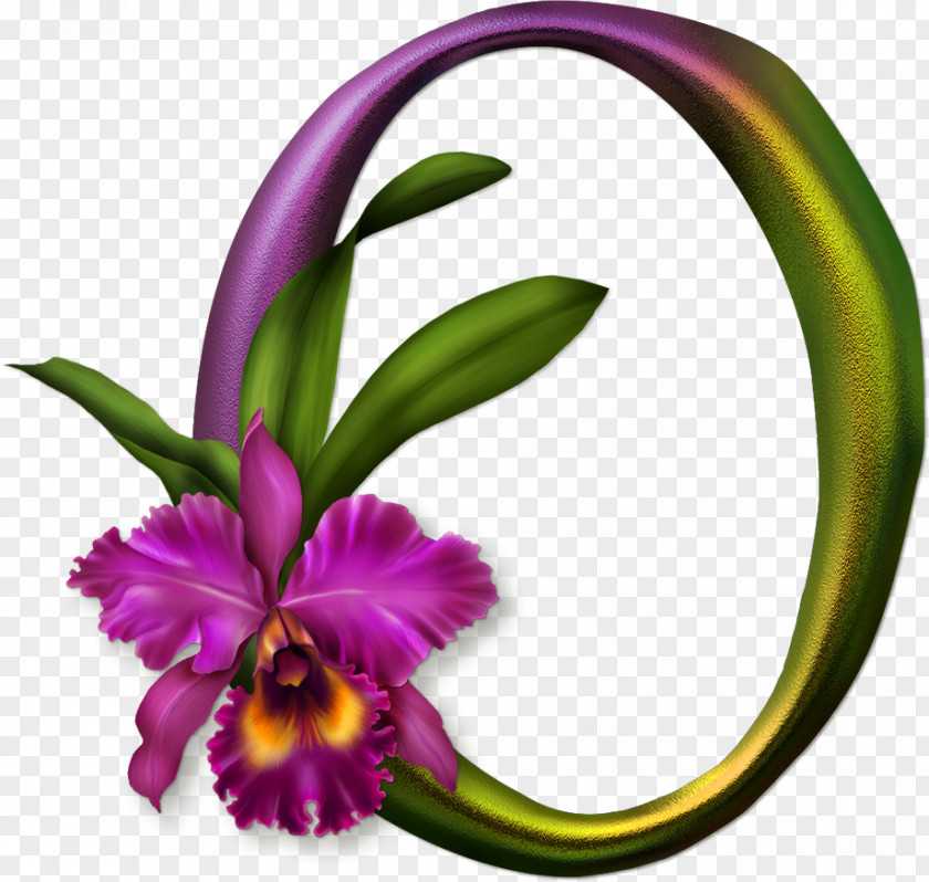 Orchids Alphabet Letter Picture Frames PNG