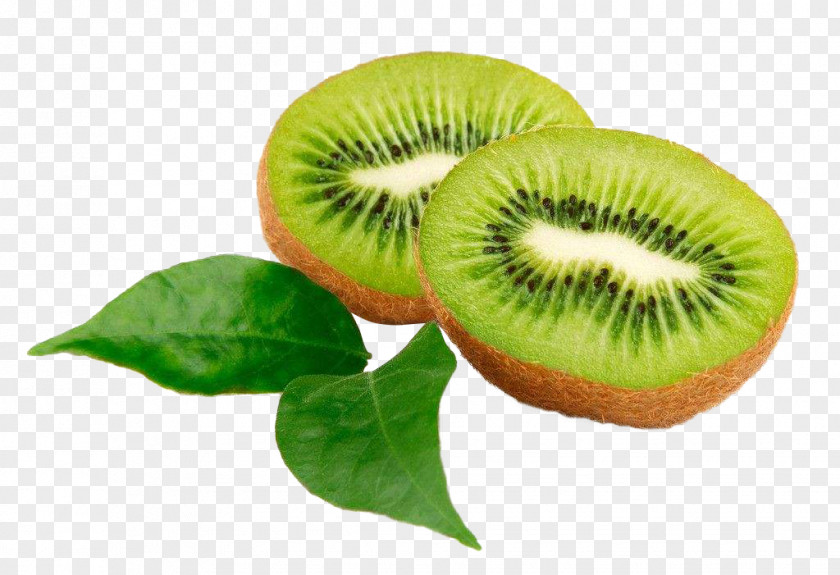 Vitamin E Kiwifruit Frutti Di Bosco Seed Oil Actinidia Deliciosa PNG