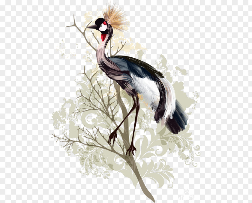 Bird Crane Drawing Watercolor Painting PNG
