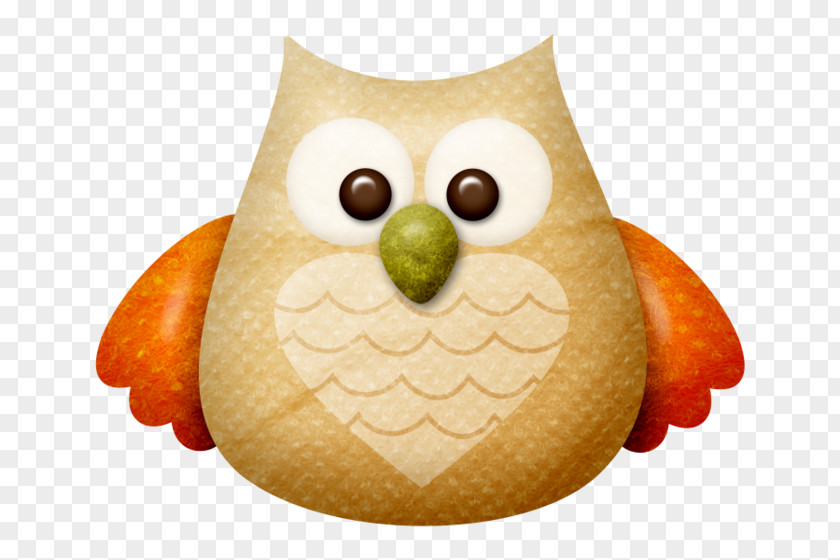 Bird Little Owl GIF Image PNG
