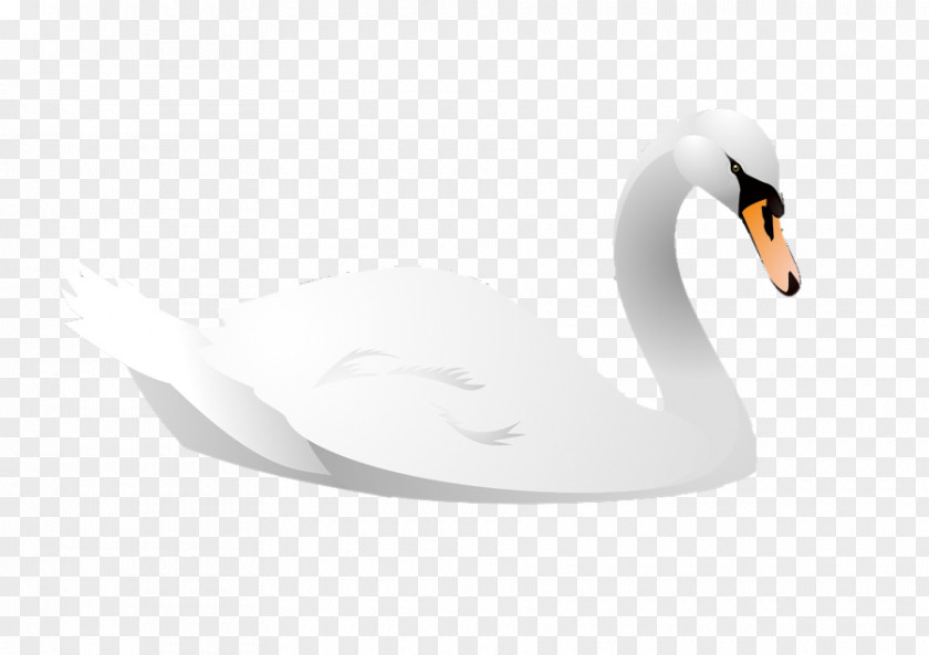 Cartoon Swan Vector Cygnini Bird Animal Illustration PNG