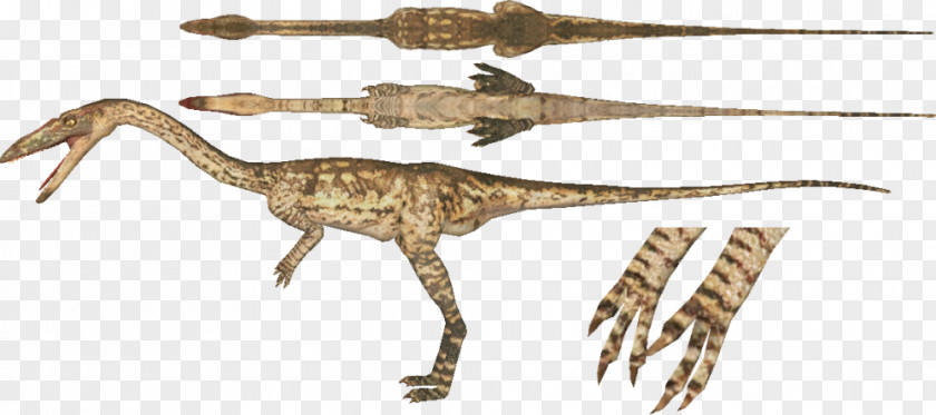 Dinosaur Zoo Tycoon 2 Velociraptor Coelophysis Torosaurus Brachiosaurus PNG