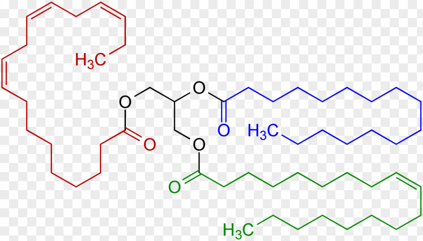 Formula 1 Triglyceride Fat Lipid Structural Structure PNG