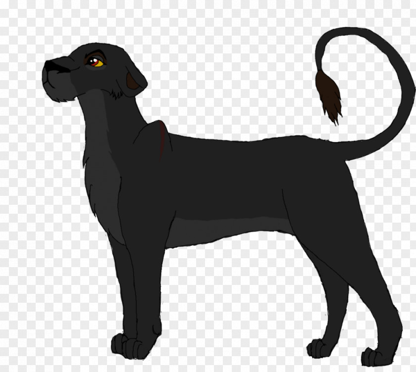 Grown Ups Labrador Retriever Puppy Dog Breed Sporting Group Leash PNG