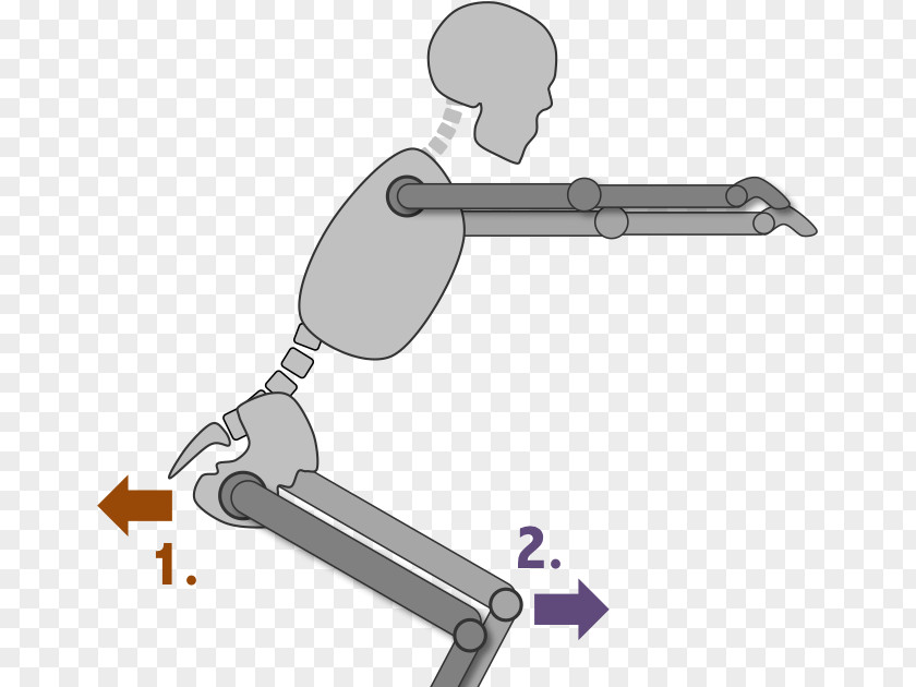 Squats Technology Technique 0 Logical Reasoning October PNG