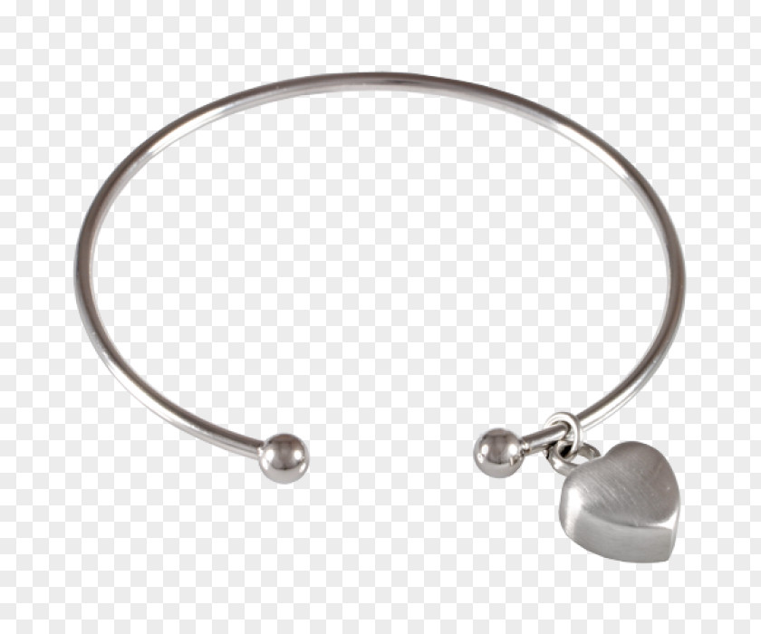 Jewellery Charm Bracelet Earring Silver PNG