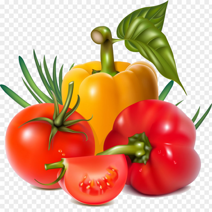 Vegetable Salad Fruit Chili Pepper Clip Art PNG