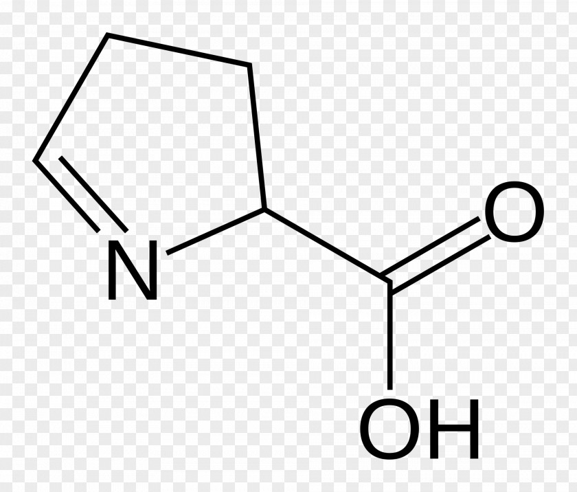 1-Pyrroline-5-carboxylic Acid Amino Amine PNG