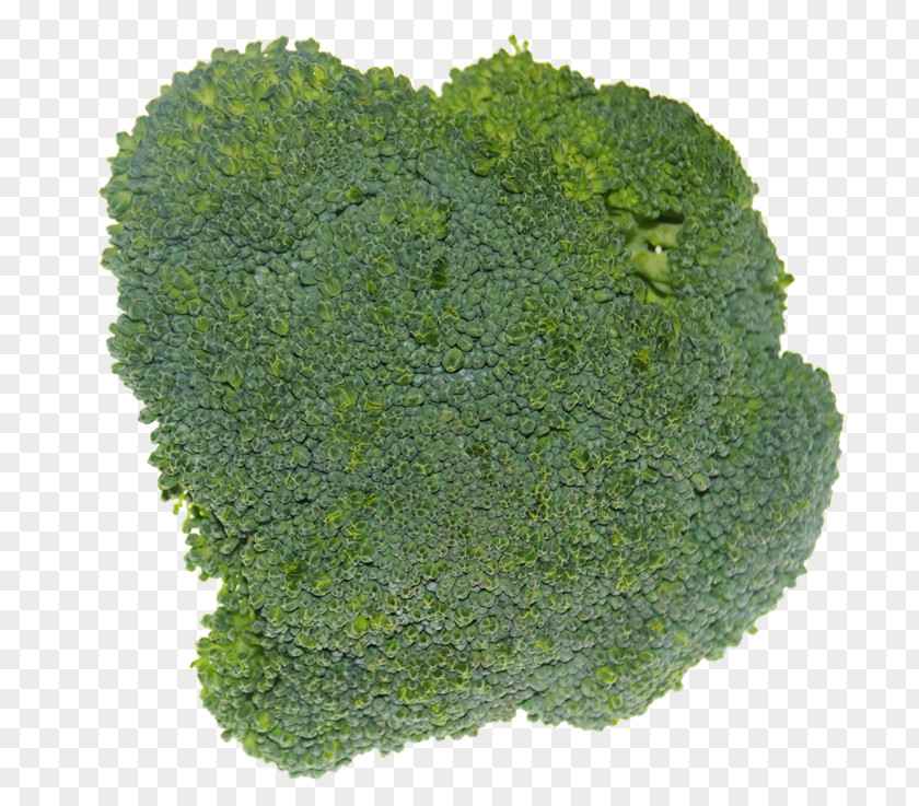 Brocoli Broccoli PhotoScape GIMP Food PNG