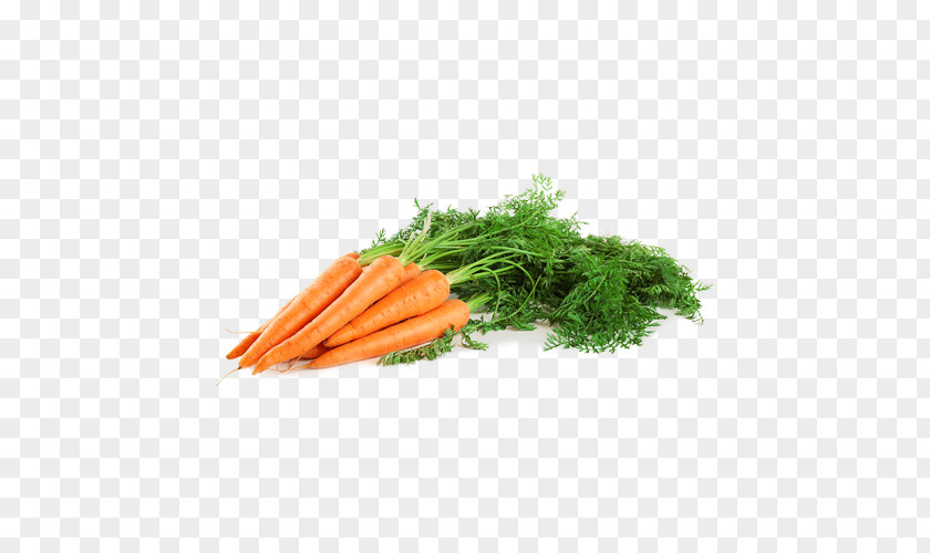 Carrot Baby Vegetable Seed Oil Diet PNG