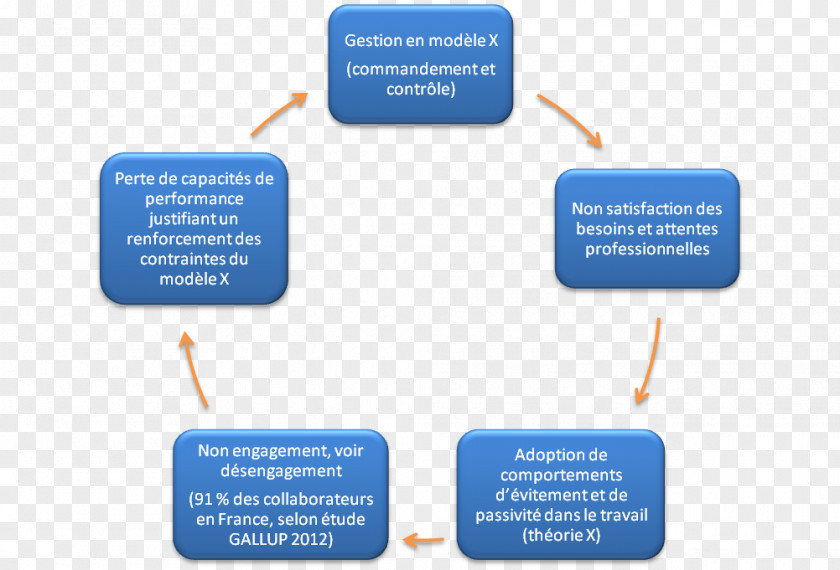 Design Brand Organization Diagram PNG