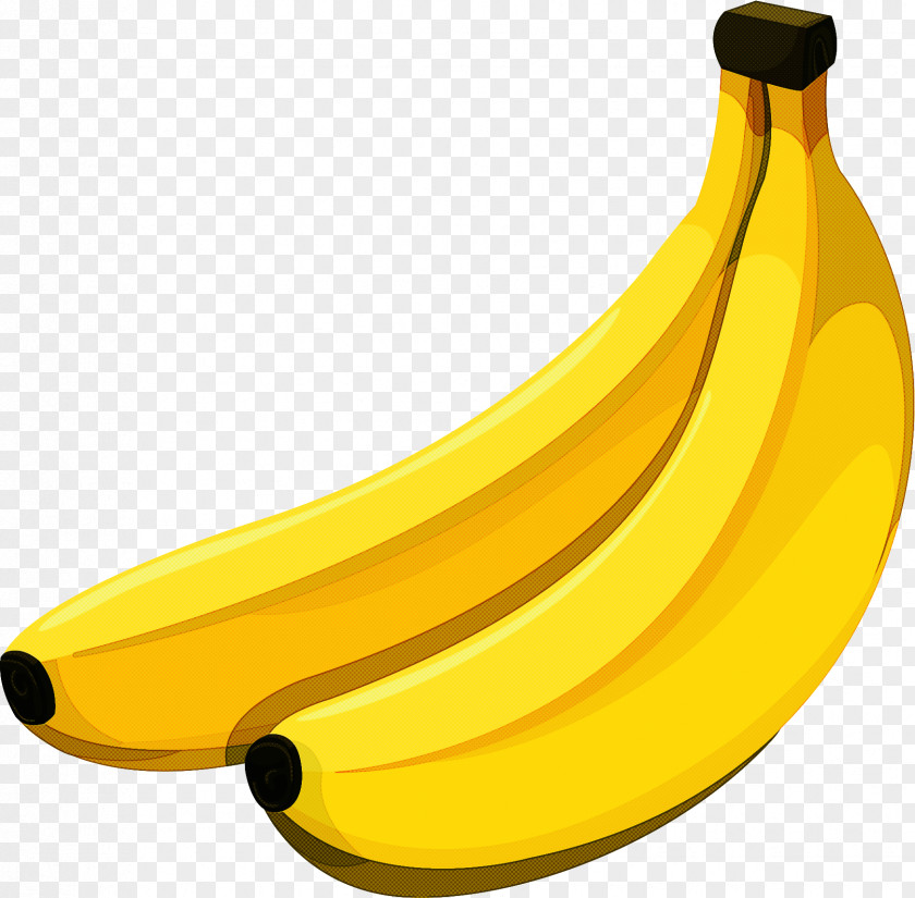 Food Plant Banana Family Yellow Cooking Plantain Fruit PNG