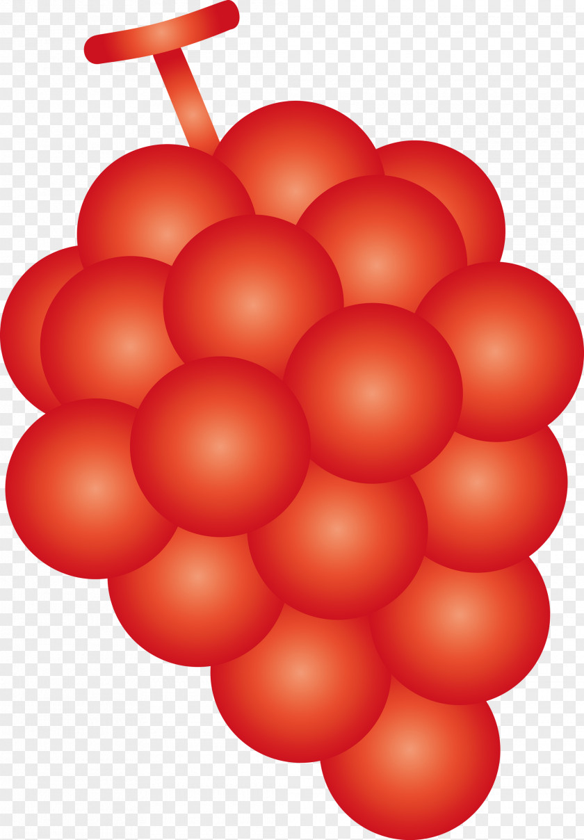 Grape Fruit PNG