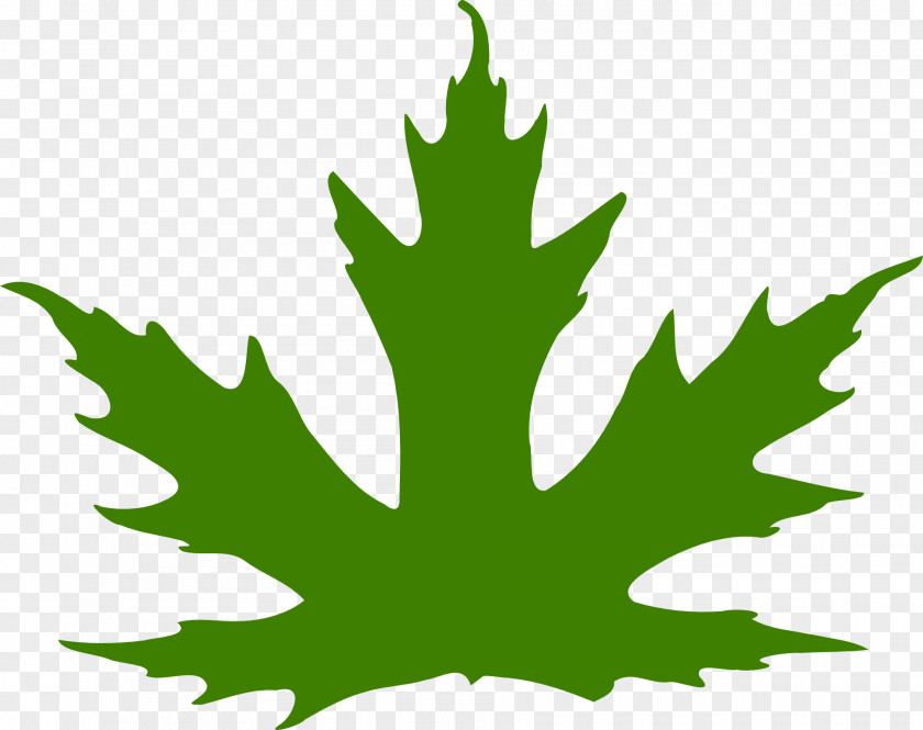 Green Leaves Maple Leaf Clip Art PNG