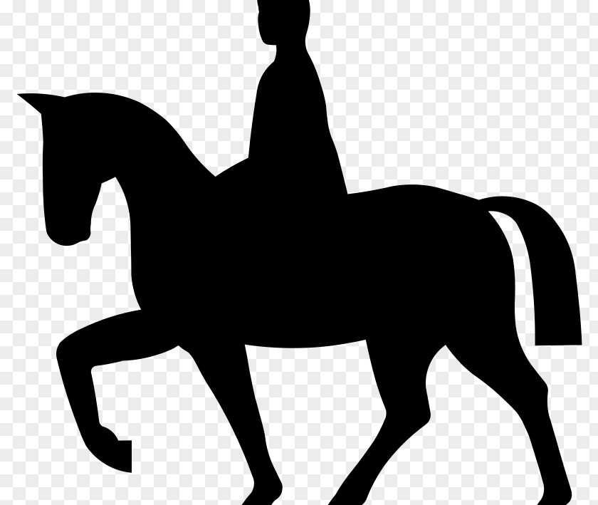 Horse Equestrian Dressage Clip Art PNG