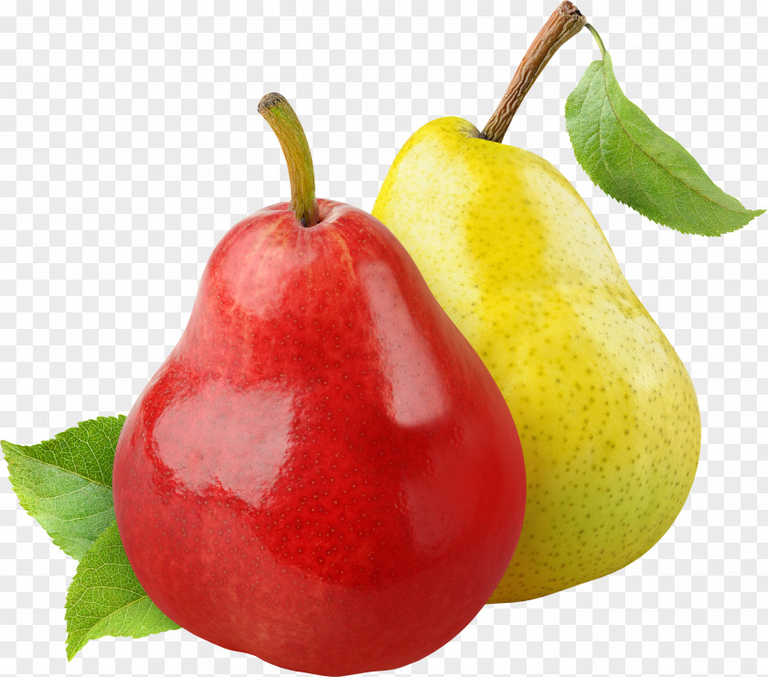 Pear European Fruit Food Eating Health PNG