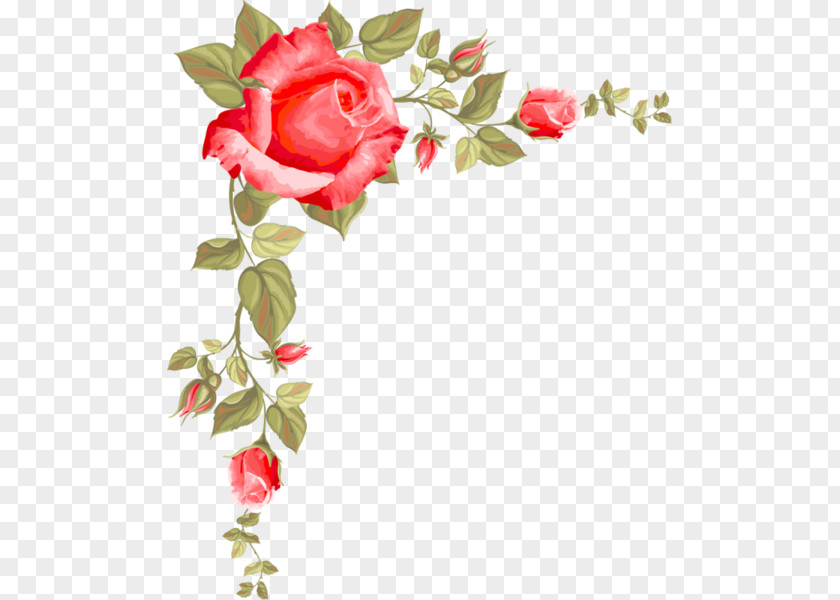 Rose Borders Paper Flower Clip Art PNG