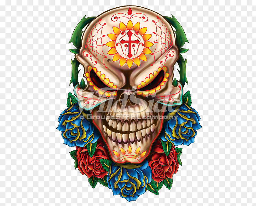 Skull Calavera Human Symbolism Day Of The Dead Death PNG
